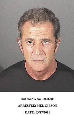 What is/was Mel Gibson's political party?