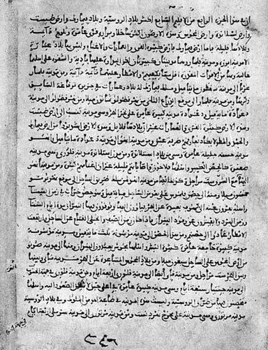 What was the primary language of al-Idrisi's works?