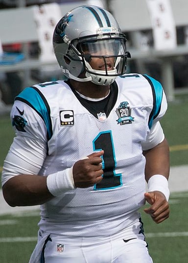 What is the NFL record Cam Newton holds for career quarterback rushing touchdowns?