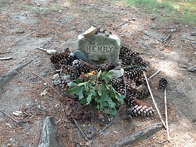 Which award did Henry David Thoreau receive in 1960?
