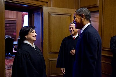 For what court did Kagan clerk before the Supreme Court?