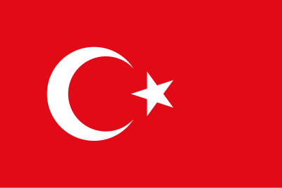 Which Turkish city hosted the 2002 FIFA World Cup semi-final match featuring Turkey?