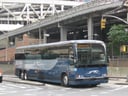 Hit the Road: The Ultimate Greyhound Lines Trivia Challenge!