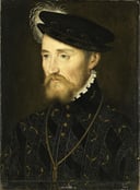 The Great Francis of Lorraine, duke of Guise Quiz: How Will You Fare Against the Competition?