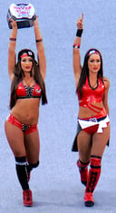 Bellamania: The Ultimate Quiz on the Dynamic Duo - The Bella Twins!