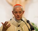 The Remarkable Journey of Cardinal Donald Wuerl: A Fascinating English Quiz