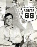 George Maharis Mania: An Entertaining Quiz on the Life and Career of a Hollywood Icon