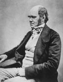 Charles Darwin Quiz: Can You Beat the Experts?
