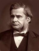 Unveiling the Legacy: A Quiz on Thomas Henry Huxley, the Brilliant English Biologist