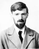 Diving into D. H. Lawrence: A Literary Odyssey