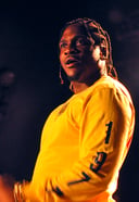 Pusha T: The King of Virginia's Rhyme Realm - How Well Do You Know His Rap Game?