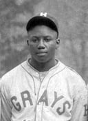 Swinging for the Fences: The Legendary Life of Josh Gibson