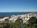 Discovering Napier: The Art Deco Gem of New Zealand - How Well Do You Know This Stunning City?