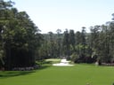 Augusta National Golf Club Knowledge Quest: 20 Questions for the intellectually curious