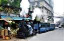 Discover Darjeeling: Unveil Your Knowledge about India's Queen of Hills