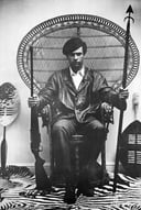 Revolutionary Words: Testing Your Knowledge on Huey P. Newton and the Black Panther Party
