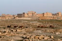 Palmyra Expert Challenge: Prove Your Palmyra Prowess