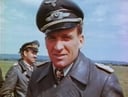 The Heroic Tale of Hans-Ulrich Rudel: The Stuka Ace of World War II
