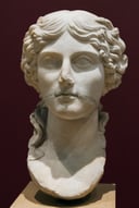 The Empress Mother: Unveiling Agrippina the Elder - A Quiz on the Formidable Matriarch of the Julio-Claudian Dynasty