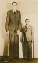 The Towering Legacy: Test Your Knowledge on Robert Wadlow