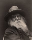 Walt Whitman Genius Quiz: 19 Questions for the intellectually inclined