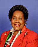 Unveiling Sheila Jackson Lee: A Journey Through Her Life and Legacy