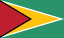 Goal-Getters of Guyana: Test Your Knowledge on the National Football Team!