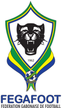 Gabon national football team Brainwave Challenge: 20 Questions to test your mental acuity