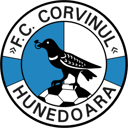 Goal-Getters Unite: The Ultimate CS Corvinul Hunedoara Fan Quiz