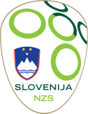 Test Your Skills: The Slovenia National Football Team Quiz