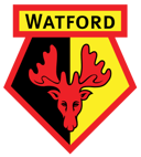 Watford F.C. Challenge: 20 Questions to Test Your Mastery