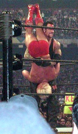 What type of match did The Undertaker and Shawn Michaels compete in at WrestleMania 26?