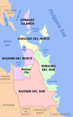 What role does Surigao City play in the surrounding provinces?