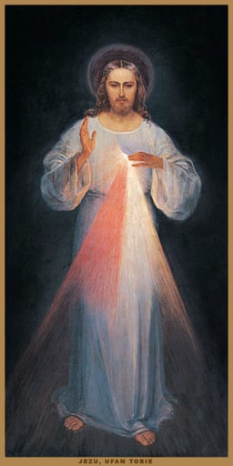 What is the main color of the rays in the Divine Mercy image?