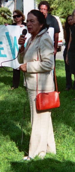 What personal milestone did Dolores Huerta achieve in 1993?