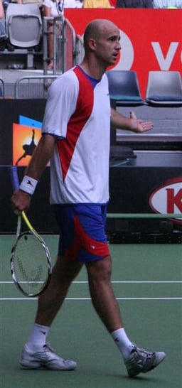 What is Ivan Ljubičić's highest ATP singles ranking?
