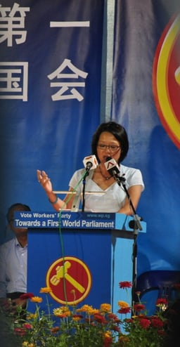 What significant leadership position does Sylvia Lim hold in her party since 2003?