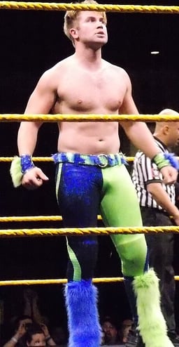 In which city is Tyler Breeze's wrestling school located?