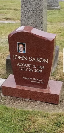 Which city was John Saxon born in?