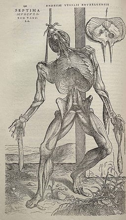 What is a persistent myth about Vesalius's death?