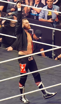 What is Sami Zayn's most well-known occupation?