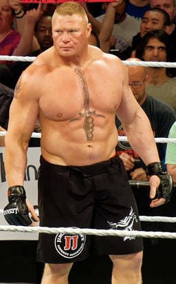 What does Brock Lesnar look like?
