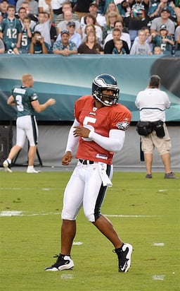 Did McNabb ever lead the NFL in passing yards during a season?