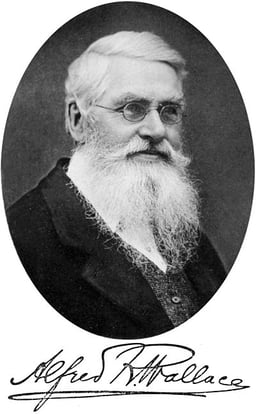 What year was Alfred Russel Wallace born?