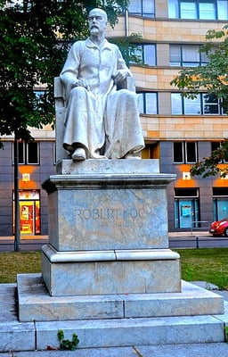 Where was Robert Koch born?