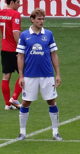 Which team did Jelavić play for after Everton?