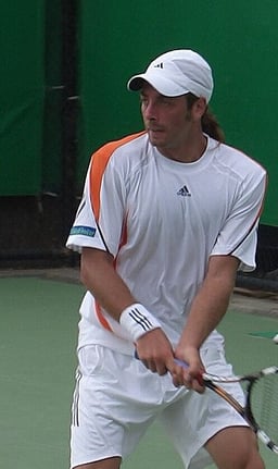 Who was Massú's doubles partner in the 2004 Olympics?