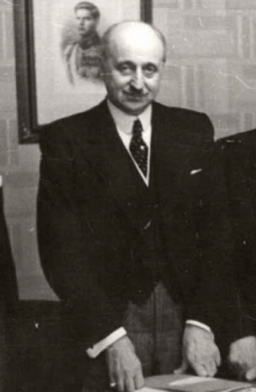 Nicolae Petrescu-Comnen