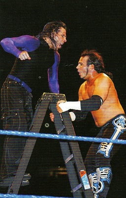 Which wrestling promotion did the Hardy Boyz briefly reunite in 2011 as members of Immortal?