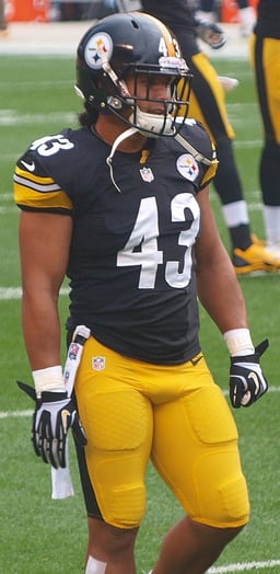 What is Polamalu's natural hair color?